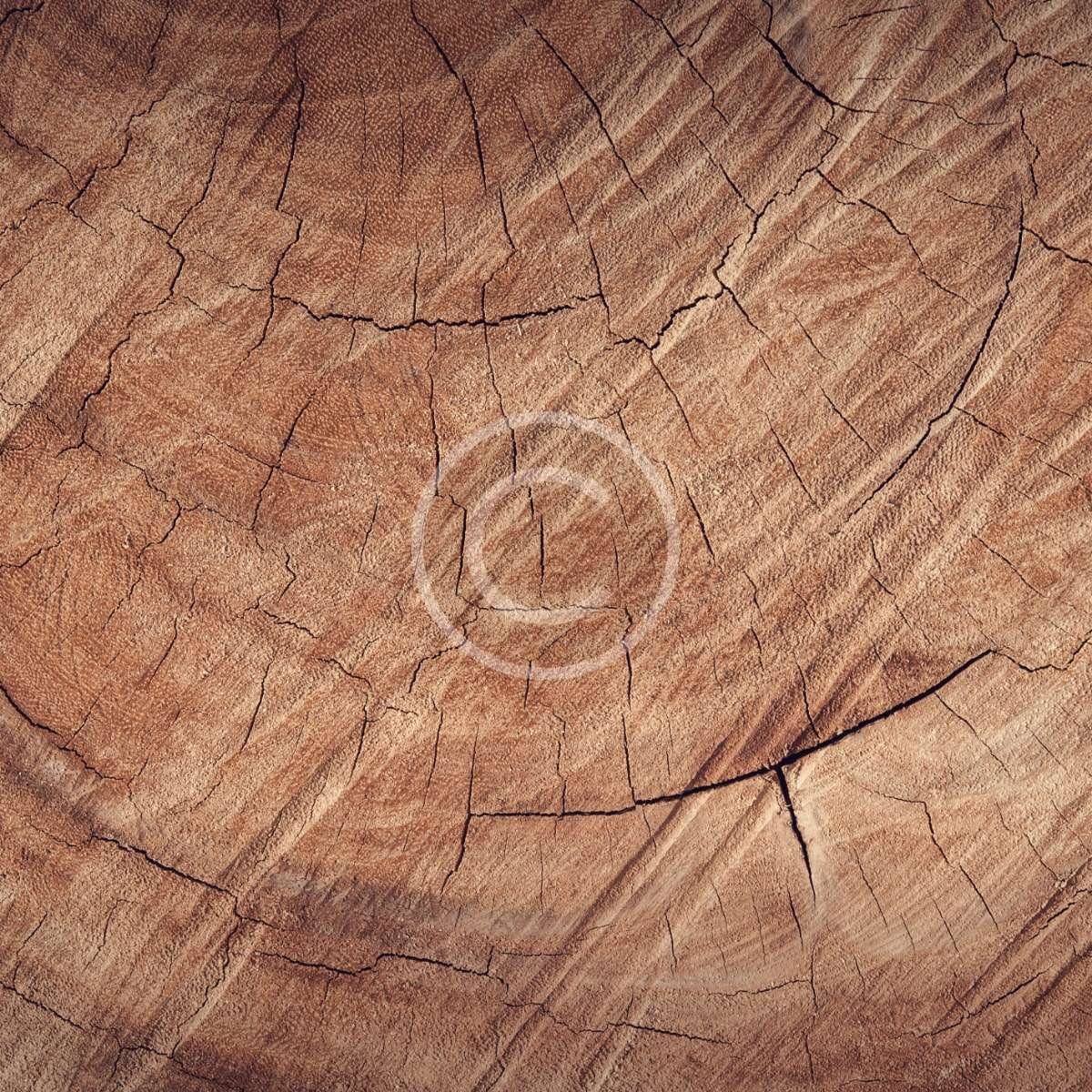 Natural oak panels